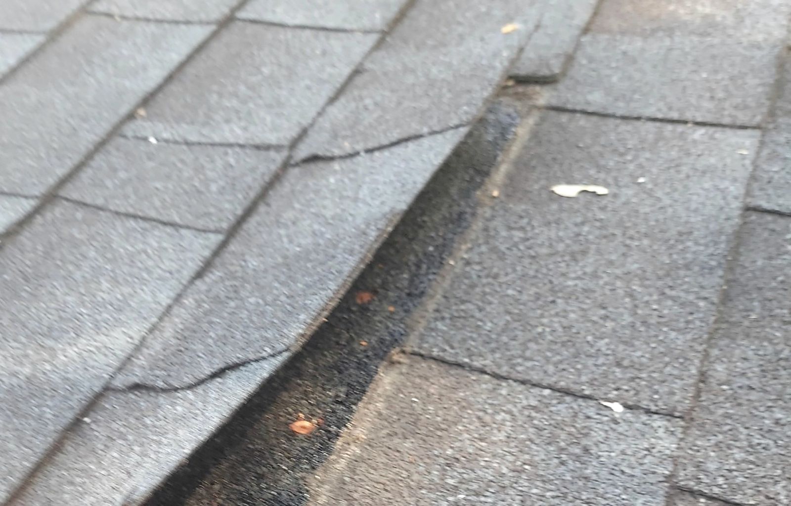 Close shingle inspection detail on a roof surface