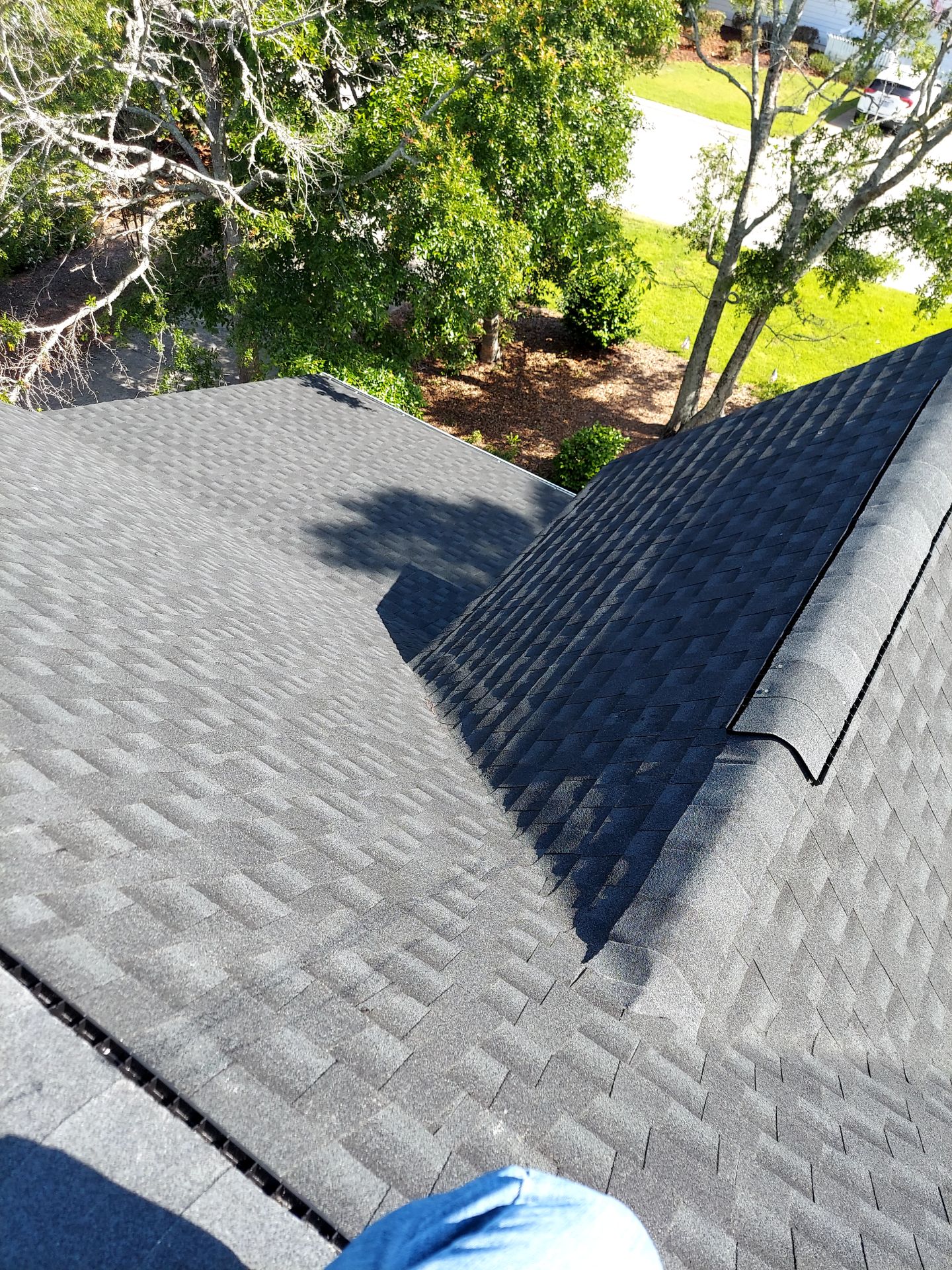 Finished shingle roof slope beside trees
