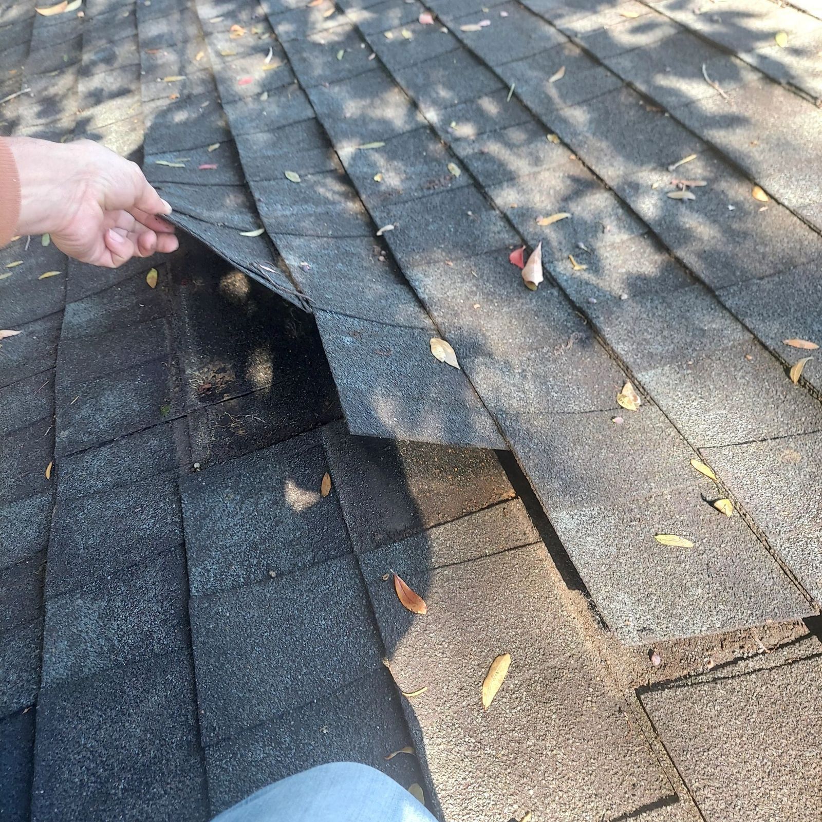 Hand lifting loose shingles during a roof inspection
